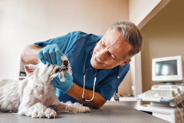 Best Emergency Dental Surgery in Privateer, SC
