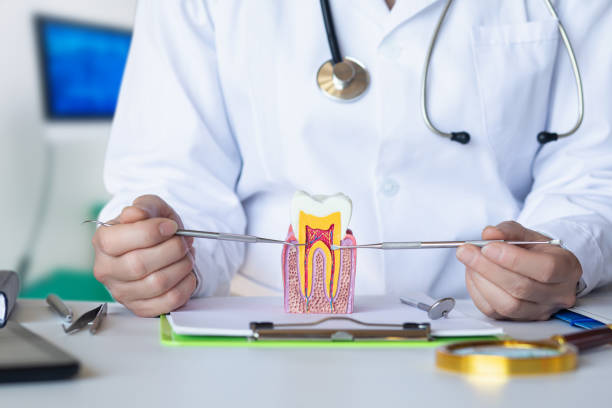 Best Emergency Treatment for Toothache in Privateer, SC